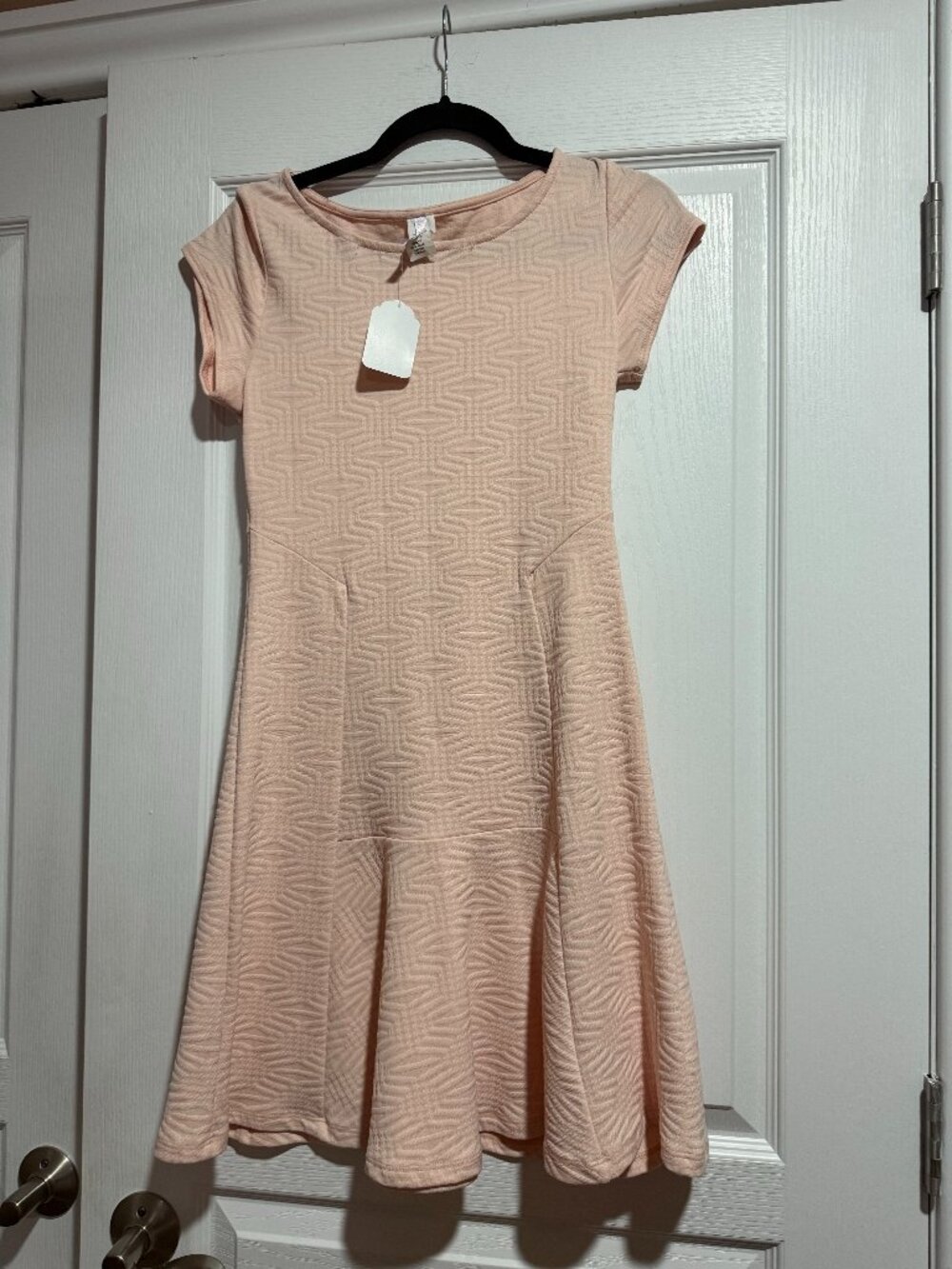 Purple Rain Blush Pink Textured Fit & Flare Dress | Medium | NWT